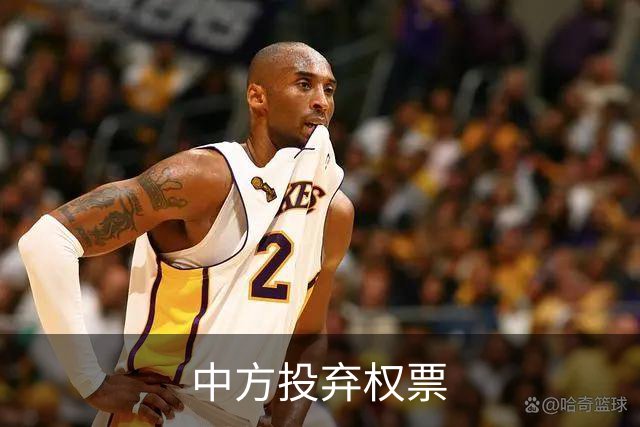 中方投弃权票