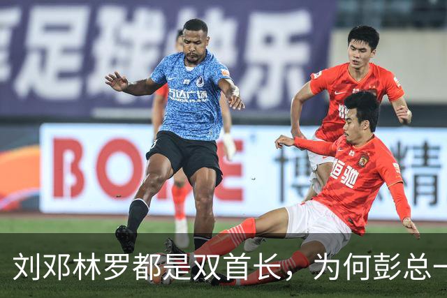刘邓林罗都是双首长，为何彭总一直是司令兼政委？毛主席的用人算术