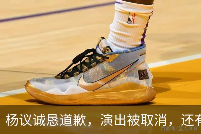 杨议诚恳道歉，演出被取消，还有374万债务没还，文旅局介入核查