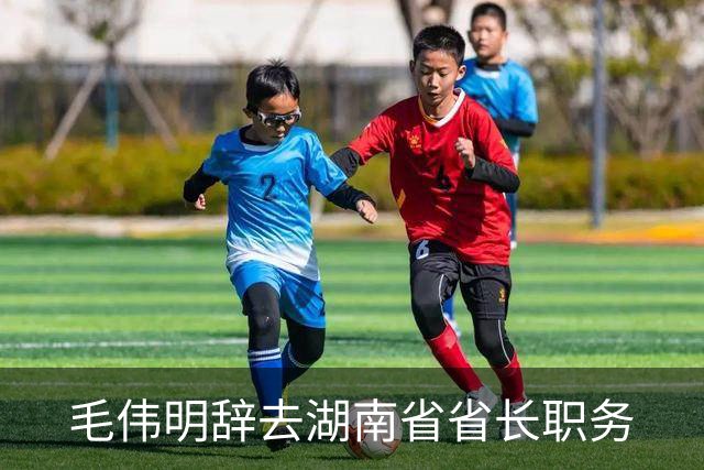 毛伟明辞去湖南省省长职务