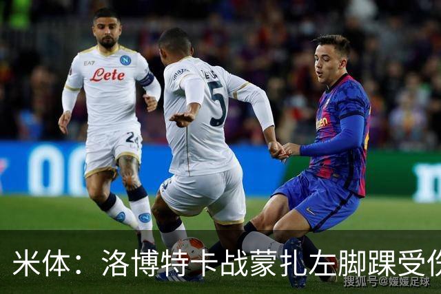 米体：洛博特卡战蒙扎左脚踝受伤伤退，那不勒斯对此感到担忧